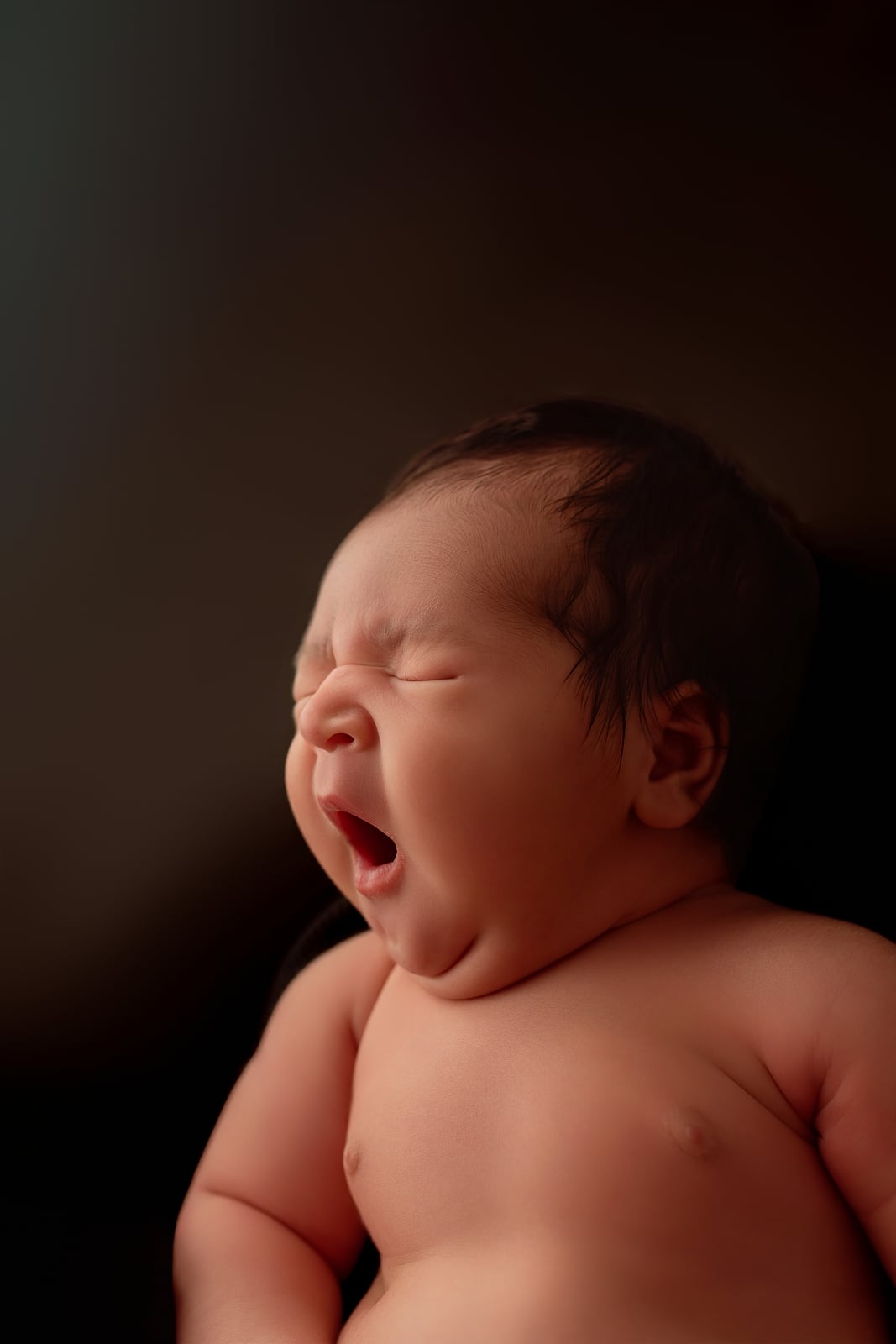 Newborn portrait 3 from Shanna-Kaye's newborn gallery
